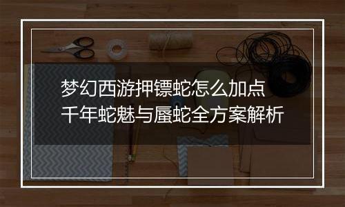 梦幻西游押镖蛇怎么加点 千年蛇魅与蜃蛇全方案解析