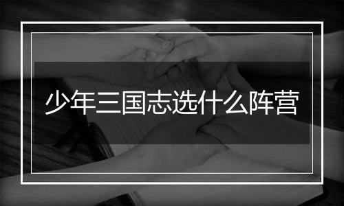少年三国志选什么阵营