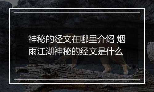 神秘的经文在哪里介绍 烟雨江湖神秘的经文是什么