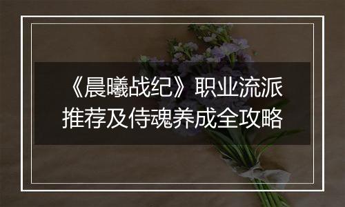 《晨曦战纪》职业流派推荐及侍魂养成全攻略