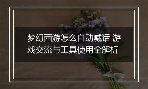 梦幻西游怎么自动喊话 游戏交流与工具使用全解析